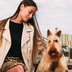 Leopard Print Harness by Urban Pup