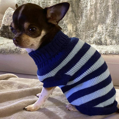 Urban Pup Chihuahua or Small Dog Oxford Blue Striped Jumper