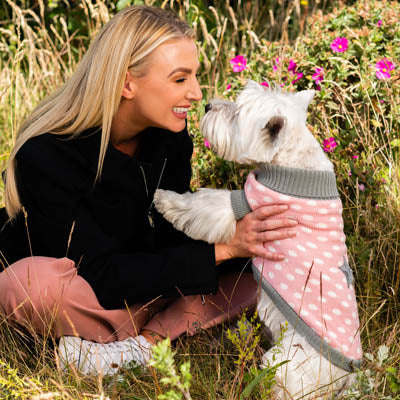 Urban Pup Chihuahua Small Dog Pink and Grey Star Jumper