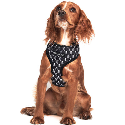 Skull and Crossbones Black and White Harness by Urban Pup