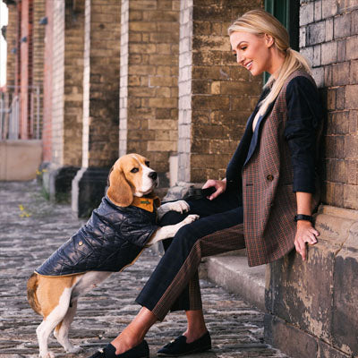 Urban Pup Chihuahua Puppy Chihuahua or Small Dog Navy Blue Town and Country Quilted Dog Coat