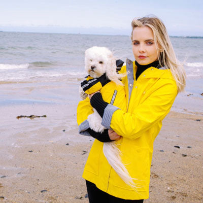 Urban Pup Chihuahua Puppy Chihuahua or Small Dog Black & Yellow Trailfinder Windbreaker Jacket