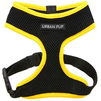 Active Mesh Black and Yellow Harness by Urban Pup Chihuahua Clothes and Accessories at My Chi and Me