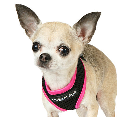Active Mesh Black and Pink Harness by Urban Pup Chihuahua Clothes and Accessories at My Chi and Me