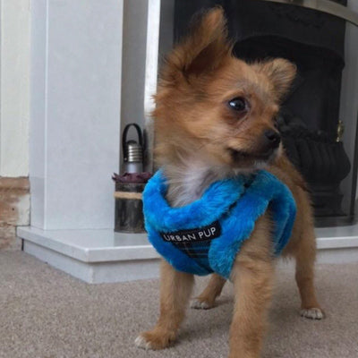Urban Pup Faux Fur Lined Tartan Small Dog Vest Harness Blue - My Chi and Me