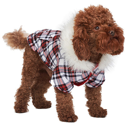Urban Pup Chihuahua Puppy Chihuahua or Small Dog Plaid Coat
