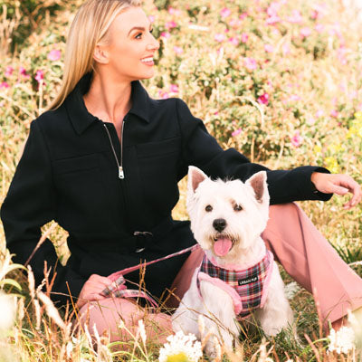 Urban Pup Faux Fur Lined Highlands Dog Vest Harness Heather and Bracken