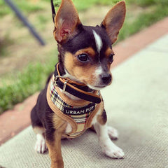 Brown Tartan Harness by Urban Pup - My Chi and Me