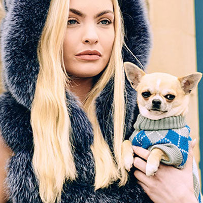 Urban Pup Chihuahua or Small Dog Argyle Jumper Blue and Grey - My Chi and Me