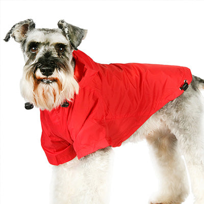 Urban Pup Chihuahua Puppy Chihuahua or Small Dog Red Explorer Raincoat Chihuahua Clothes and Accessories at My Chi and Me