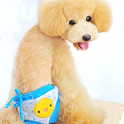 Chihuahua Season Pants Sanitary Menstruation Knickers Blue Chick