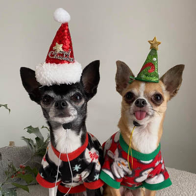 Christmas Small Dog Snowman Fleece Green Red and White
