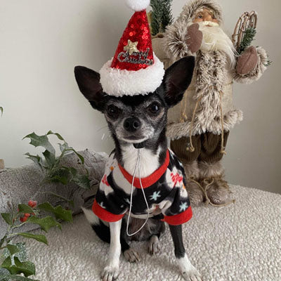 Christmas Small Dog Snowman Fleece Black with Red White