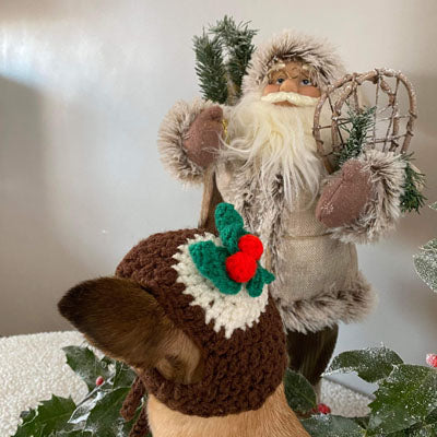 LIMITED EDITION Christmas Pudding Chihuahua or Small Dog Hand Made Hat with Holly & Berries