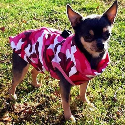 Chihuahua or Small Dog Coat Pink Camouflage Gilet - My Chi and Me