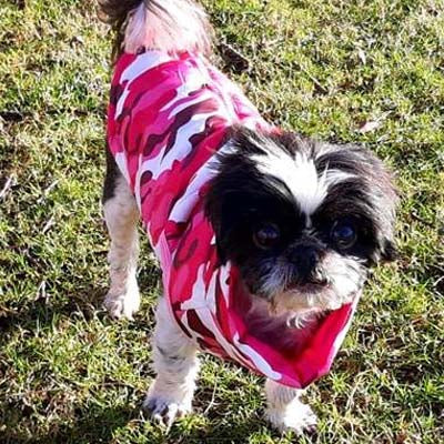Chihuahua or Small Dog Coat Pink Camouflage Gilet - My Chi and Me