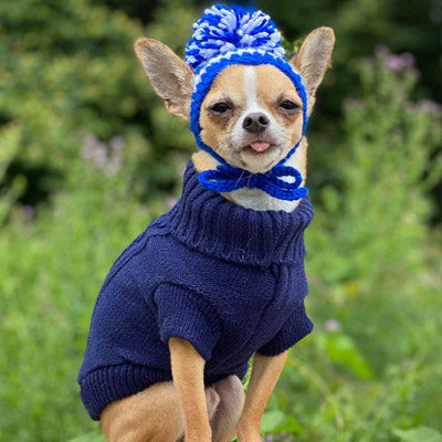 Small Dog Soft Navy Blue Cable Knit Chihuahua Puppy Jumper 5 SIZES Chihuahua Clothes and Accessories at My Chi and Me