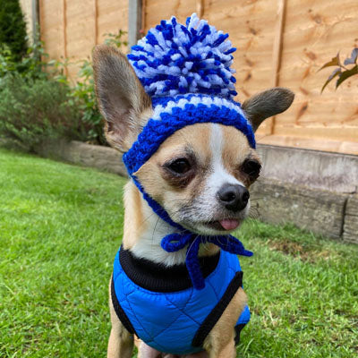 Water Resistant Padded Quilted Blue Dog Gilet Chihuahua Clothes and Accessories at My Chi and Me
