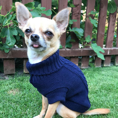 Small Dog Soft Navy Blue Cable Knit Chihuahua Puppy Jumper 5 SIZES Chihuahua Clothes and Accessories at My Chi and Me