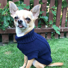 Small Dog Soft Navy Blue Cable Knit Chihuahua Puppy Jumper 5 SIZES Chihuahua Clothes and Accessories at My Chi and Me