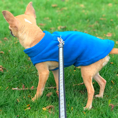 Chihuahua or Small Dog Fleece Jumper with D Rings For Leash Blue - My Chi and Me
