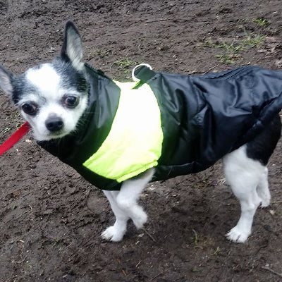 Gilet Style Small Dog Coat Black And Yellow - My Chi and Me