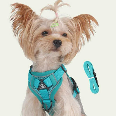 Tough 4 Point Adjustable Slipover Treks & Trails Action Harness Lead Set Aquamarine
