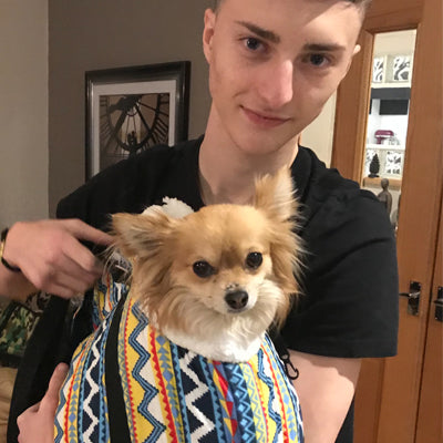 Pet Carrier Padded Faux Sheepskin Lined Travel Shoulder Bag Aztec Design Dog Bag - My Chi and Me