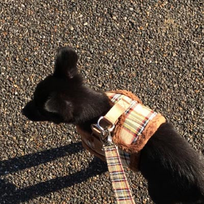Urban Pup Faux Fur Lined Brown Tartan Small Dog Vest Harness - My Chi and Me