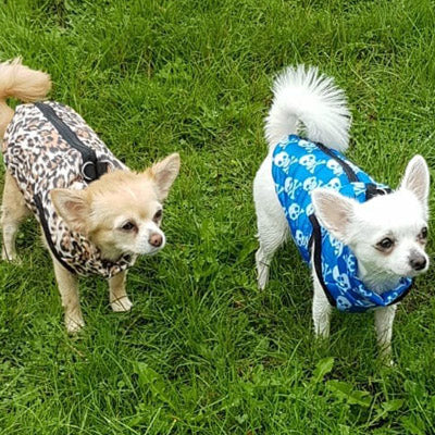 Premium Leopard Print Water Resistant Padded Gilet Style Coat Chihuahua or Small Dog - My Chi and Me