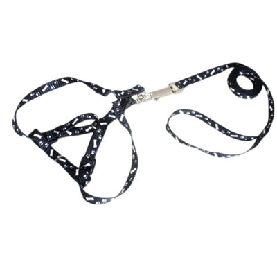 Chihuahua Puppy or Small Chihuahua Harness and Lead Set Paws & Bones Black Light Weight Webbing Chihuahua Clothes and Accessories at My Chi and Me