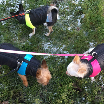 Gilet Style Small Dog Coat Black And Pink - My Chi and Me