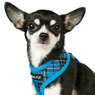 Blue Tartan Harness by Urban Pup - My Chi and Me