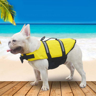 Pet Life Jacket Buoyancy Aid for Chihuahuas or Small Dogs Blue Chihuahua Clothes and Accessories at My Chi and Me