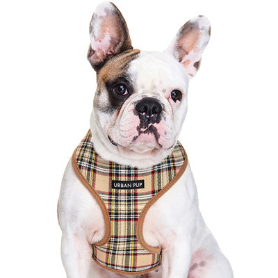 Brown Tartan Harness by Urban Pup - My Chi and Me