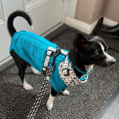 Small Dog Soft Cable Jumper Turquoise 7 Sizes