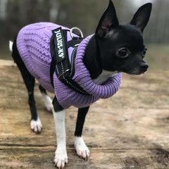 Julius K9 IDC Powerharness for Puppies and Chihuahuas Purple - My Chi and Me
