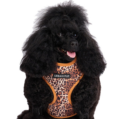 Urban Pup Brown Cheetah Print Harness