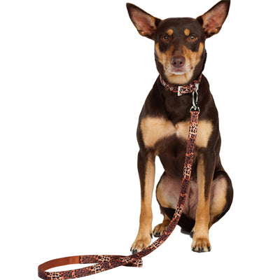 Urban Pup Brown Cheetah Print Dog Lead