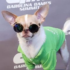 Small Dog Sunglasses Chihuahuas Shades 8 COLOURS - My Chi and Me