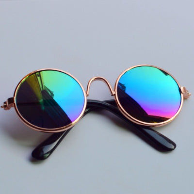 Medium Sunglasses for Larger Chihuahuas and Small Dogs Chihuahua Clothes and Accessories at My Chi and Me