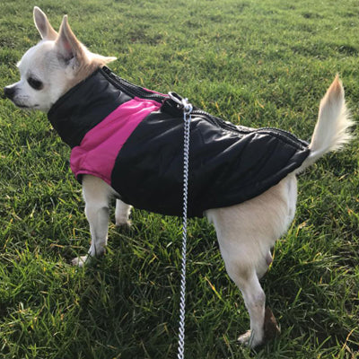 Gilet Style Small Dog Coat Black And Pink - My Chi and Me