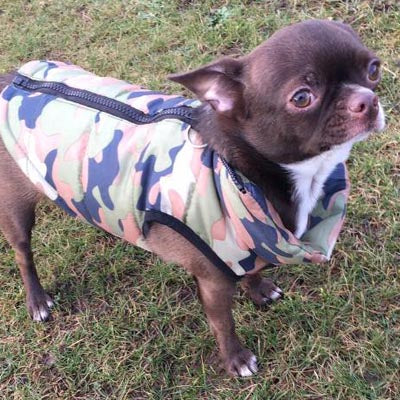 Chihuahua or Small Dog Coat Green Camouflage Gilet - My Chi and Me