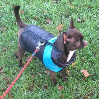 Gilet Style Small Dog Coat Black And Blue - My Chi and Me