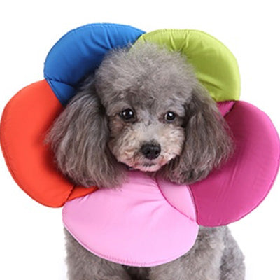Post Surgery Soft Protective Flower Collar Multicolour 3 Sizes - My Chi and Me