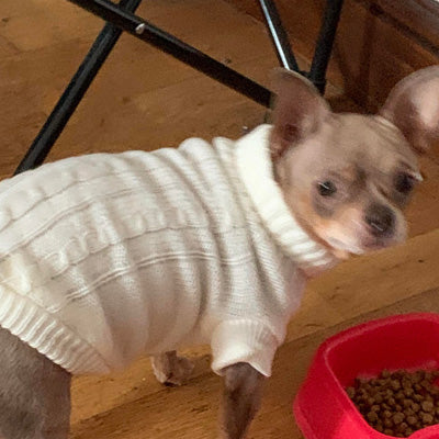 Small Dog Soft Cable Jumper Cream 7 Sizes
