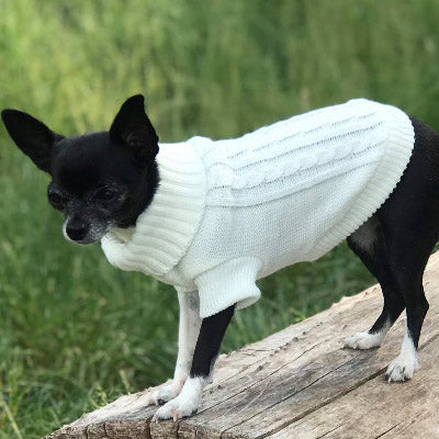 Small Dog Soft Cream Cable Knit Chihuahua Puppy Jumper 5 SIZES Chihuahua Clothes and Accessories at My Chi and Me