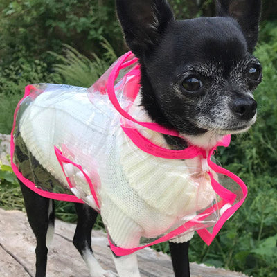 Small Dog Soft Cream Cable Knit Chihuahua Puppy Jumper 5 SIZES Chihuahua Clothes and Accessories at My Chi and Me