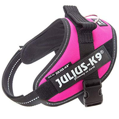 Julius K9 IDC Powerharness for Puppies and Chihuahuas Dark Pink - My Chi and Me