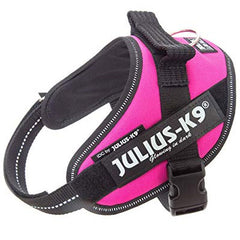 Julius K9 IDC Powerharness for Puppies and Chihuahuas Dark Pink - My Chi and Me